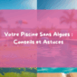 Construction piscine en mars 1 85x85